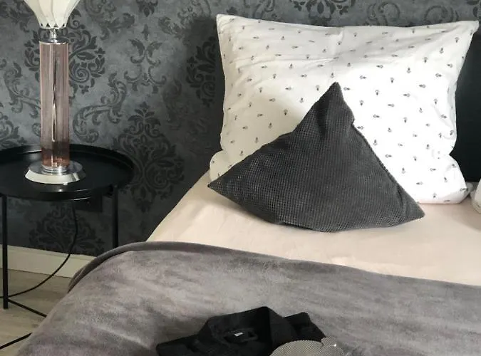 Affittacamere Body Kult Loft - Modernes Mit 2 Separaten Schlafzimmern - Kostenlose Parkplaetze Direkt An Der Zwickau